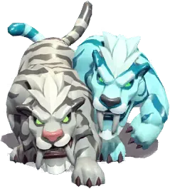 Shy-Rotam Mission Image