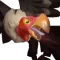 Vultures Indicator Icon